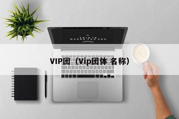 VIP团（Vip团体 名称）