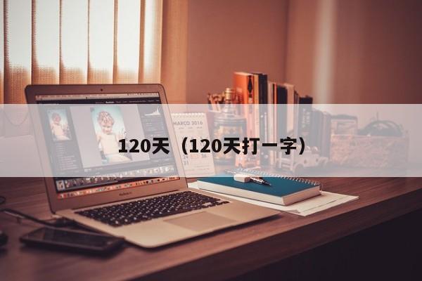 120天（120天打一字）