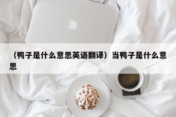 （鸭子是什么意思英语翻译）当鸭子是什么意思