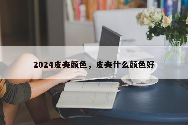 2024皮夹颜色，皮夹什么颜色好