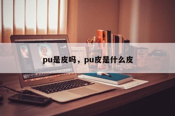 pu是皮吗，pu皮是什么皮