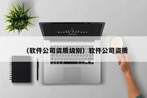 （软件公司资质级别）软件公司资质