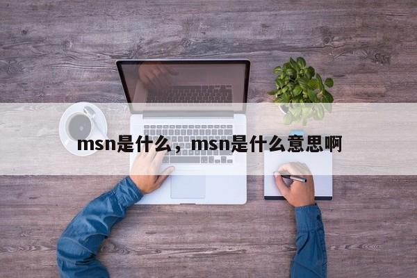 msn是什么，msn是什么意思啊