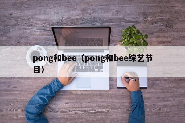 pong和bee（pong和bee综艺节目）