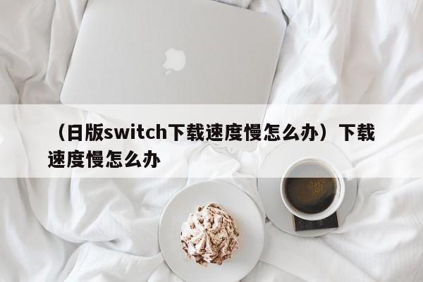 （日版switch下载速度慢怎么办）下载速度慢怎么办