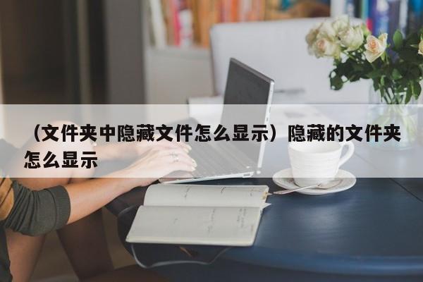 （文件夹中隐藏文件怎么显示）隐藏的文件夹怎么显示