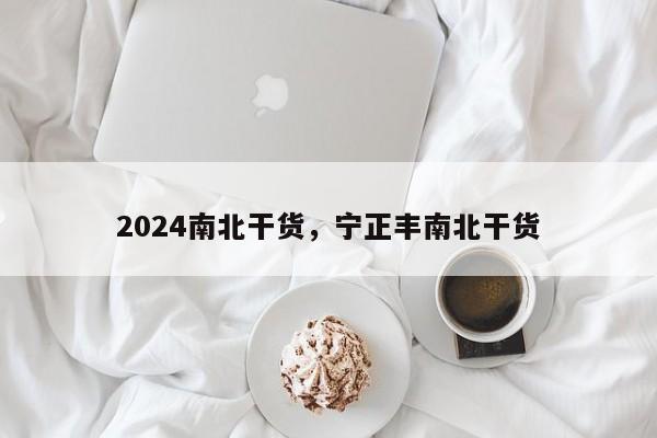 2024南北干货，宁正丰南北干货