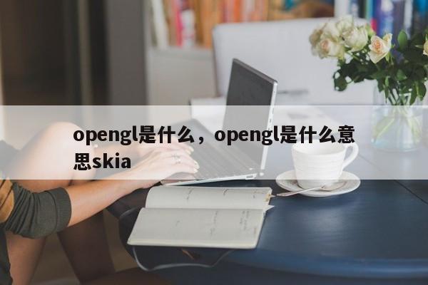 opengl是什么，opengl是什么意思skia