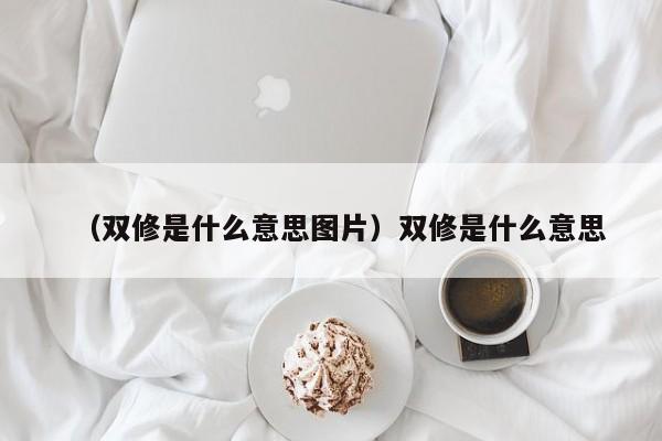 （双修是什么意思图片）双修是什么意思