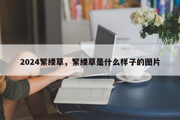 2024繁缕草，繁缕草是什么样子的图片