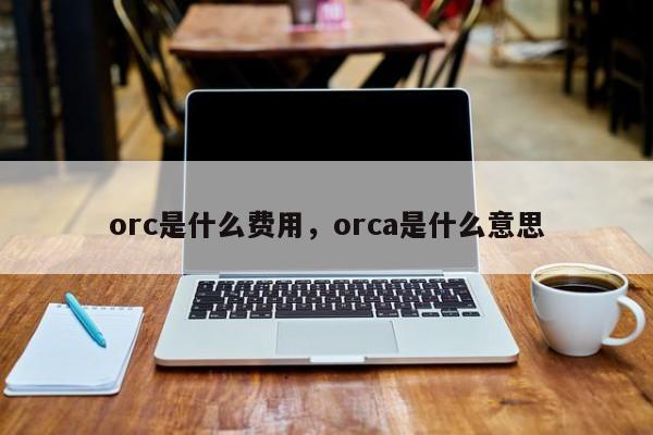 orc是什么费用，orca是什么意思