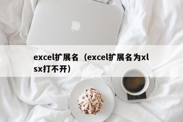 excel扩展名（excel扩展名为xlsx打不开）