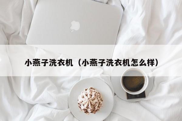 小燕子洗衣机（小燕子洗衣机怎么样）