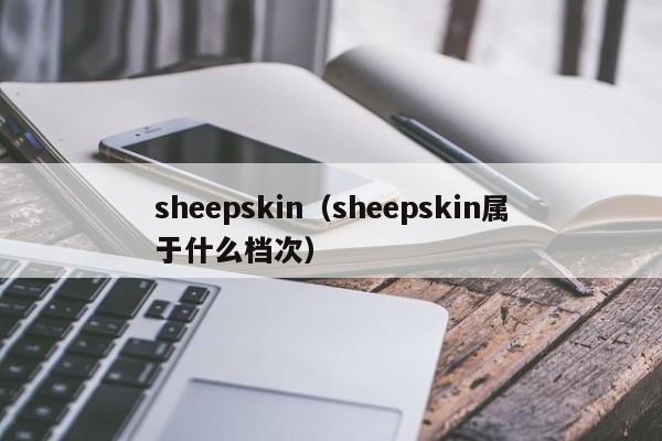 sheepskin（sheepskin属于什么档次）