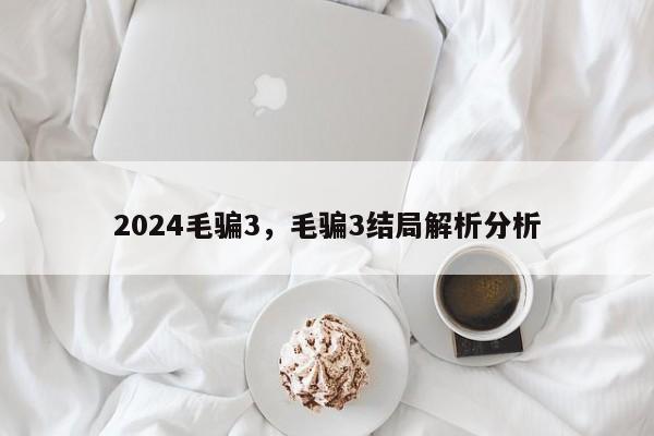 2024毛骗3，毛骗3结局解析分析