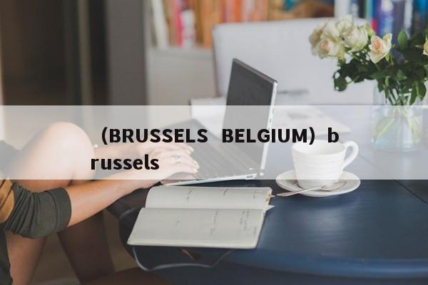 （BRUSSELS  BELGIUM）brussels