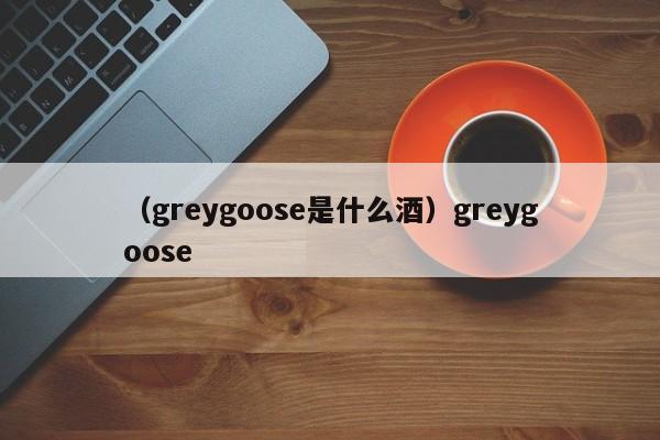 （greygoose是什么酒）greygoose